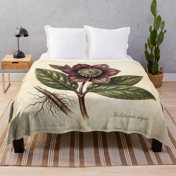 Item preview, Midnight Herbarium III – Black Hellebore designed and sold by Roberta Calabrese.