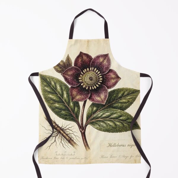 Item preview, Midnight Herbarium III – Black Hellebore designed and sold by Roberta Calabrese.