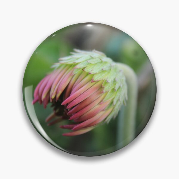 Item preview, Waiting to Bloom | Delicate Flower Bud Macro Photography designed and sold by Cha-s-lens.