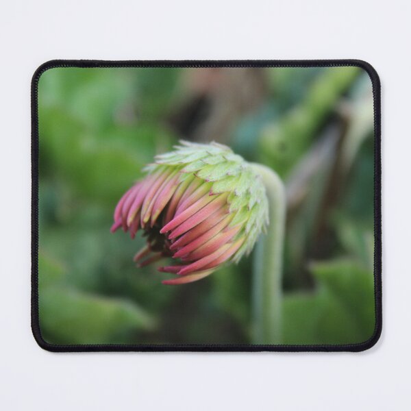 Item preview, Waiting to Bloom | Delicate Flower Bud Macro Photography designed and sold by Cha-s-lens.