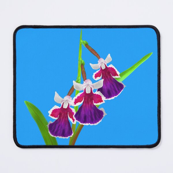 Item preview, A step into a Fairytale with an Utyouran Orchid designed and sold by KD das Lama.