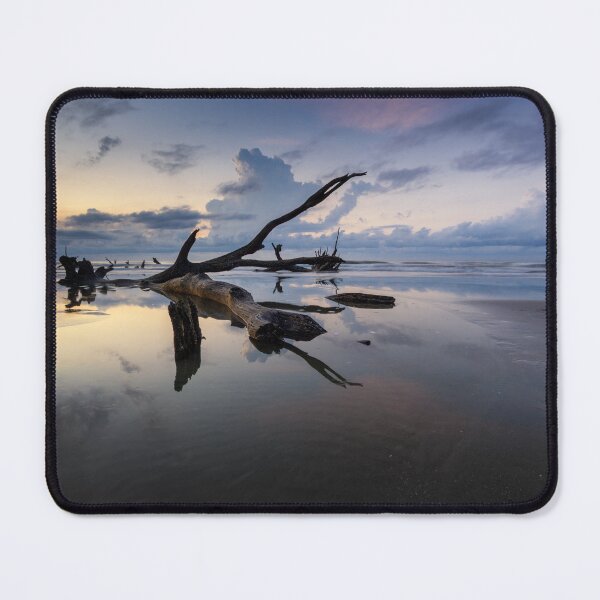 Item preview, Bull Island 2016/01 designed and sold by DiFigianoPhoto.
