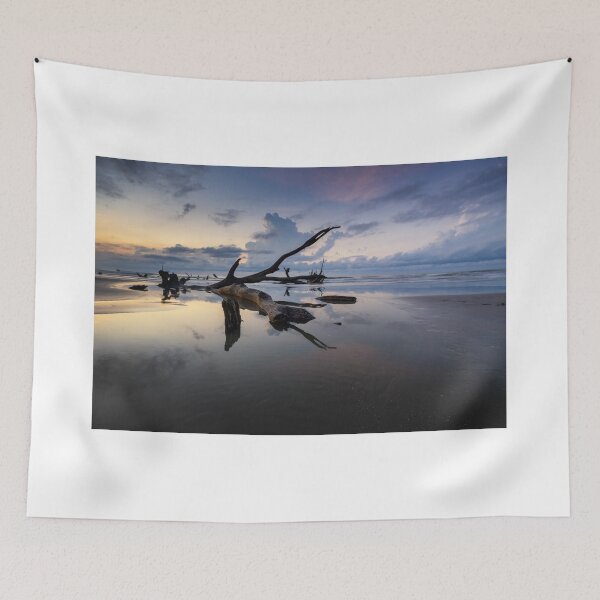 Item preview, Bull Island 2016/01 designed and sold by DiFigianoPhoto.