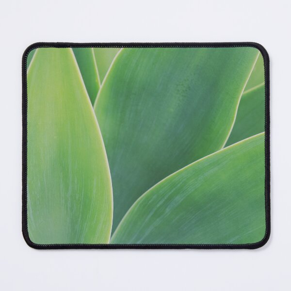Item preview, Minimalist Agave Leaf Texture Photo designed and sold by ReneJordaan.