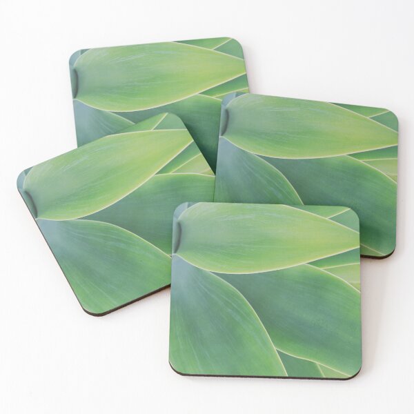 Item preview, Minimalist Agave Leaf Texture Photo designed and sold by ReneJordaan.