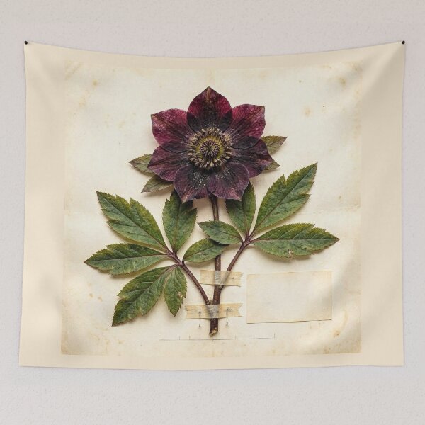 Item preview, Midnight Herbarium III – Black Hellebore designed and sold by Roberta Calabrese.