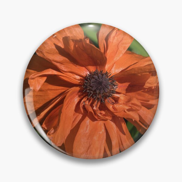 Item preview, Silky Petaled Poppy in the Sunlight designed and sold by Georgia Mizuleva.