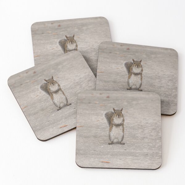 Item preview, Do You Have Some Nuts? designed and sold by Zina Stromberg.