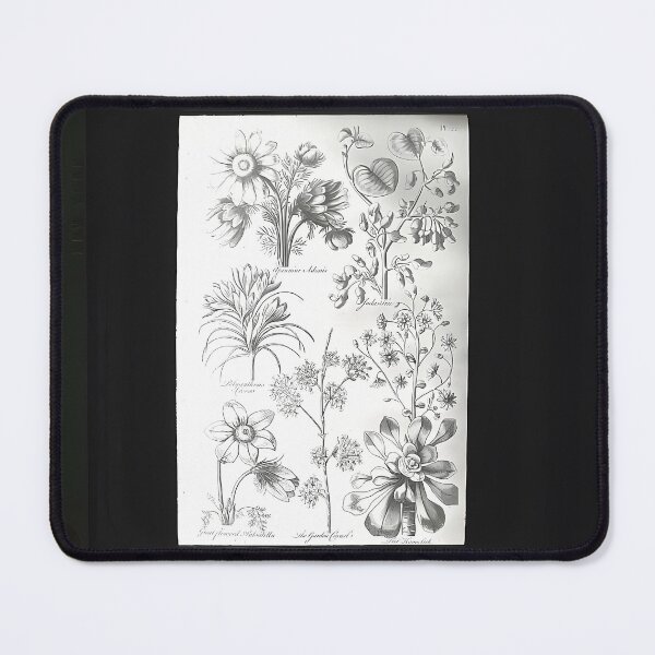 Item preview, Wildflower Drawing | Botanical Art designed and sold by GammaRay.