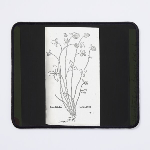 Item preview, Basil Thyme Herb Drawing | Botanical Art designed and sold by GammaRay.