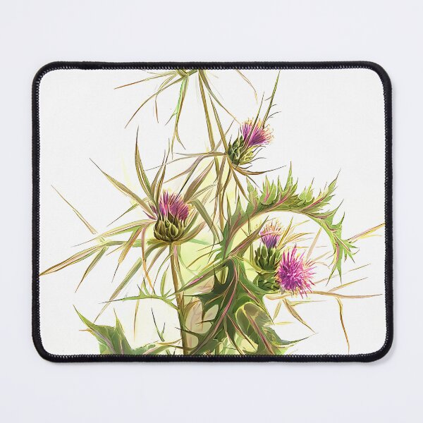 Item preview, Syrian Thistle Drawing | Botanical Art designed and sold by GammaRay.