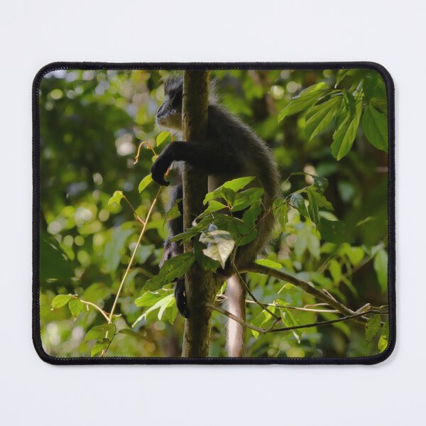 Item preview, Captivating look of a Thomas langur designed and sold by franck380.