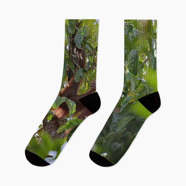 Item preview, Wild orangutan eating in a tree designed and sold by franck380.
