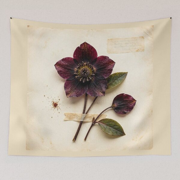 Item preview, Midnight Herbarium III – Black Hellebore designed and sold by Roberta Calabrese.