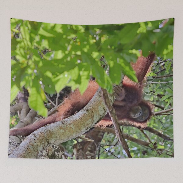 Item preview, Orangutan hanging from a large branch designed and sold by franck380.