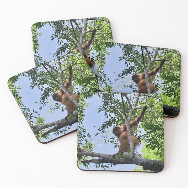 Item preview, Agile orangutan in the heart of the canopy designed and sold by franck380.
