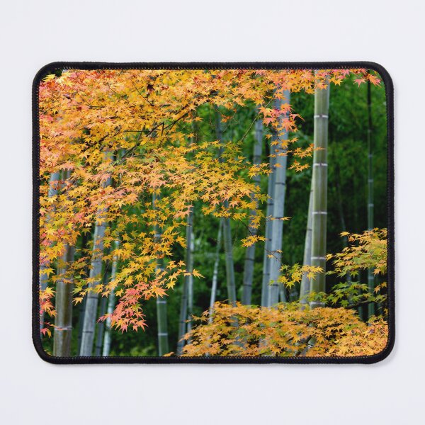 Item preview, Orange Maples Against Green Bamboo designed and sold by fact-stick.