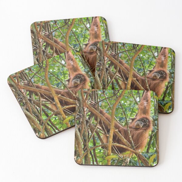 Item preview, Red orangutan hanging from a branch designed and sold by franck380.