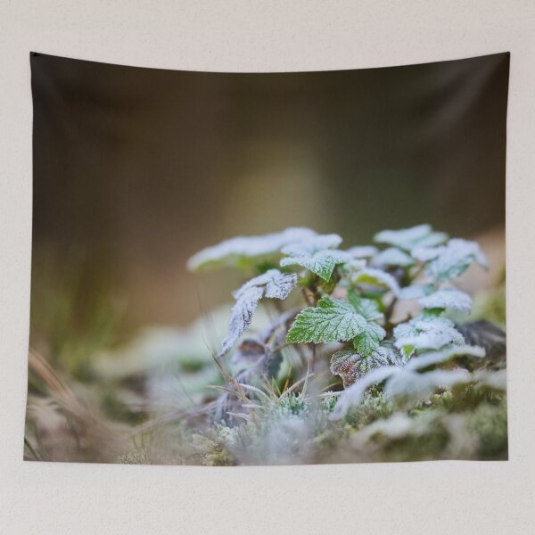 Item preview, Winter Whisper in the Forest designed and sold by TheNordicNature.