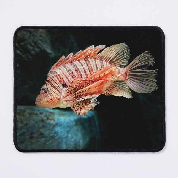 Item preview, Portrait of a Lionfish designed and sold by Baulmonart.