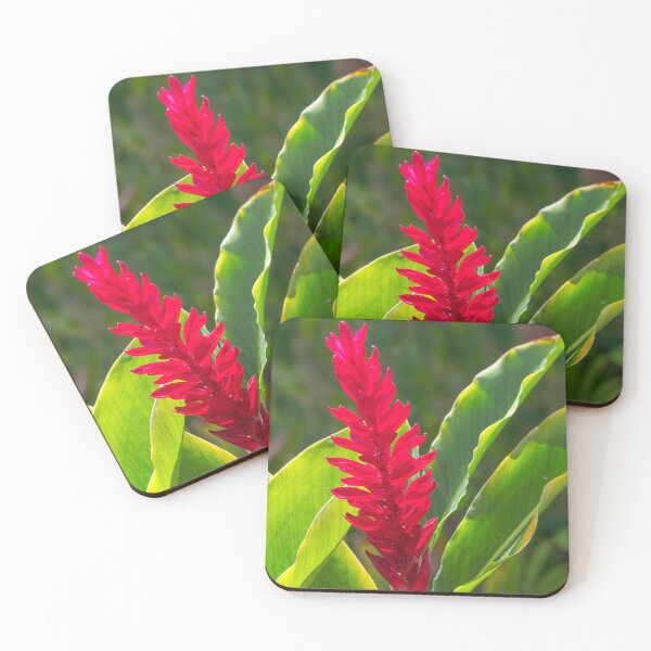 Item preview, Reg Ginger in the Sunlight designed and sold by CopperSkyPhoto.
