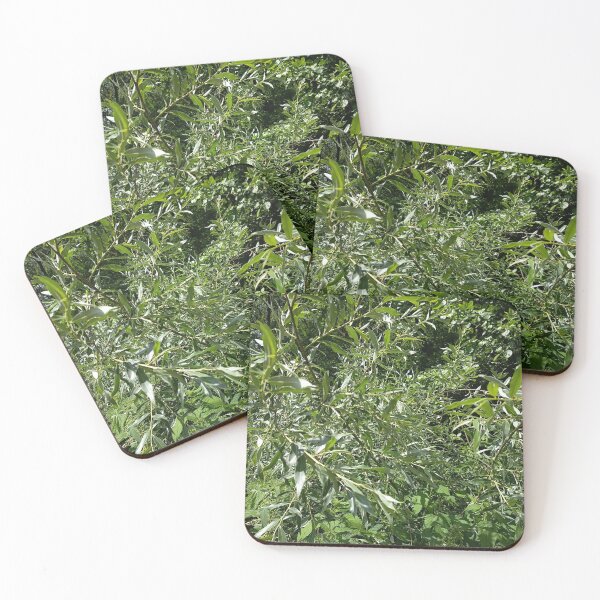 Item preview, Green Willow Leaves Nature Background designed and sold by PhuongVoArt.