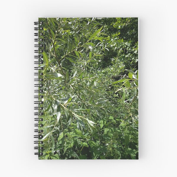 Artikelvorschau, Green Willow Leaves Nature Background entworfen und verkauft von PhuongVoArt.