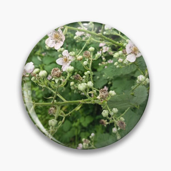 Item preview, Wild Blackberry Blossoms in Nature designed and sold by PhuongVoArt.