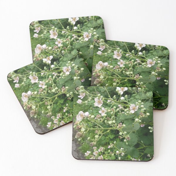 Item preview, Wild Blackberry Blossoms in Nature designed and sold by PhuongVoArt.
