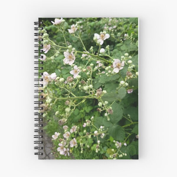 Item preview, Wild Blackberry Blossoms in Nature designed and sold by PhuongVoArt.