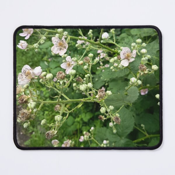 Item preview, Wild Blackberry Blossoms in Nature designed and sold by PhuongVoArt.