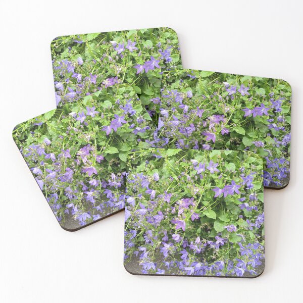Item preview, Purple Bellflowers Blooming in Garden designed and sold by PhuongVoArt.