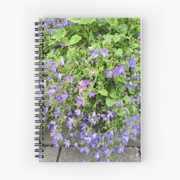 Item preview, Purple Bellflowers Blooming in Garden designed and sold by PhuongVoArt.