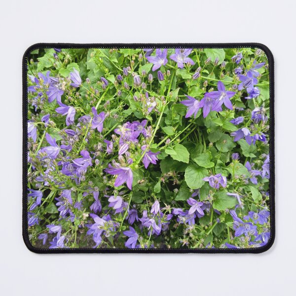 Item preview, Purple Bellflowers Blooming in Garden designed and sold by PhuongVoArt.
