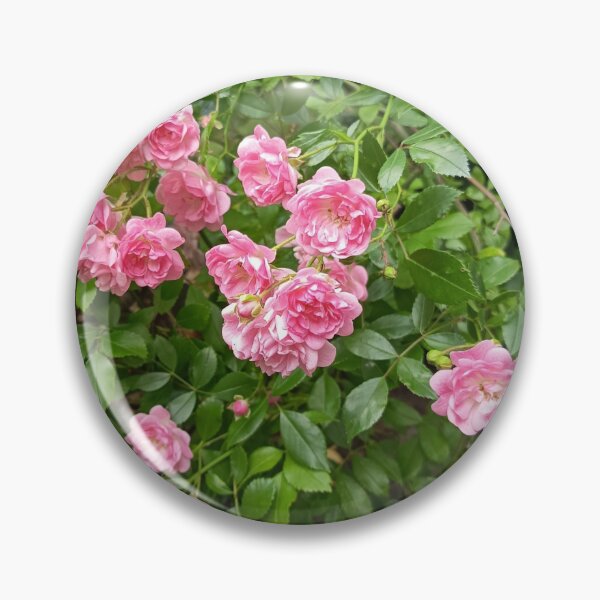 Item preview, Pink Rose Blossoms in Garden Foliage designed and sold by PhuongVoArt.