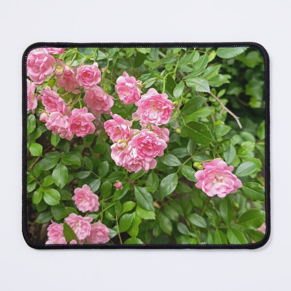 Item preview, Pink Rose Blossoms in Garden Foliage designed and sold by PhuongVoArt.