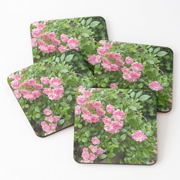 Item preview, Pink Rose Blossoms in Garden Foliage designed and sold by PhuongVoArt.