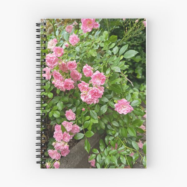 Item preview, Pink Rose Blossoms in Garden Foliage designed and sold by PhuongVoArt.