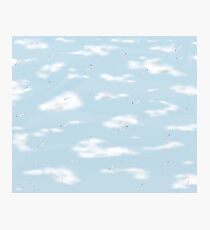 Sky, clouds and Seagulls Photographic Print