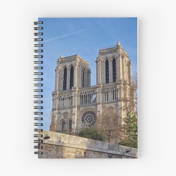 Item preview, Notre-Dame Cathedral view from Seine  designed and sold by psychoshadow.