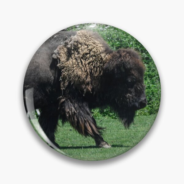 Item preview, Bison Walking designed and sold by SRosuphotos.
