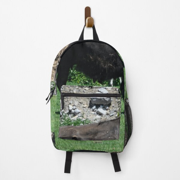 Item preview, Bison Walking designed and sold by SRosuphotos.