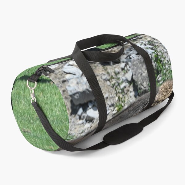Item preview, Bison Walking designed and sold by SRosuphotos.