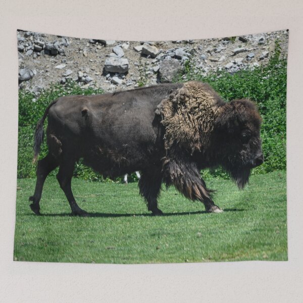 Item preview, Bison Walking designed and sold by SRosuphotos.