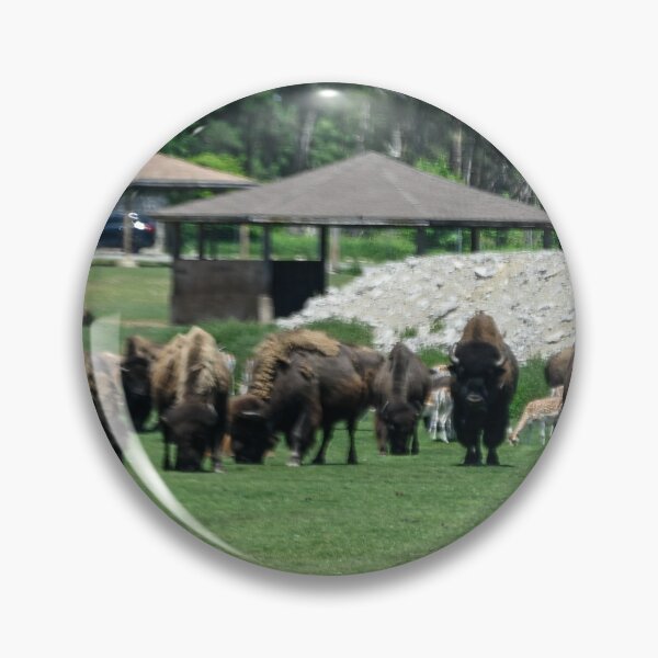 Item preview, Where the Buffalo Roam designed and sold by SRosuphotos.