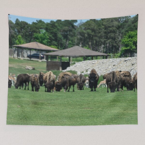 Item preview, Where the Buffalo Roam designed and sold by SRosuphotos.