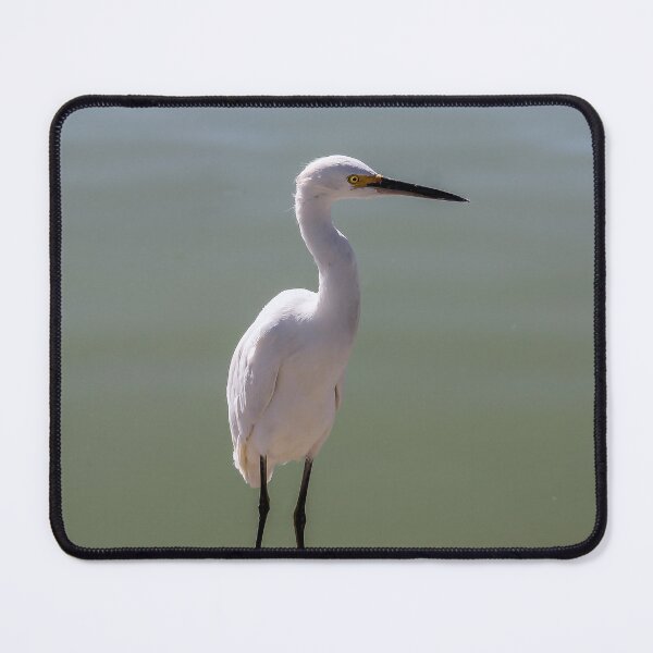 Item preview, Where Is Everybody? designed and sold by heatherfriedman.