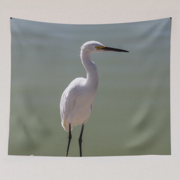 Item preview, Where Is Everybody? designed and sold by heatherfriedman.