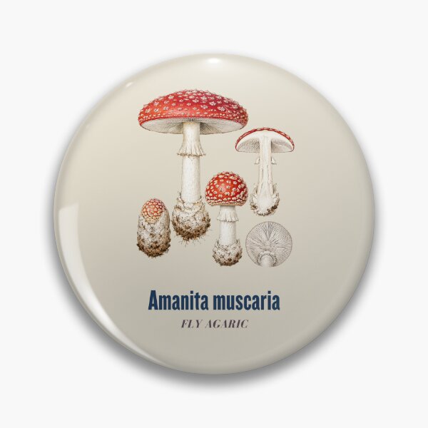 Item preview, Fly Agaric Botanical T-Shirt | Amanita Muscaria Scientific Illustration | Vintage Mushroom Nature Gift designed and sold by Panom Suavichien.