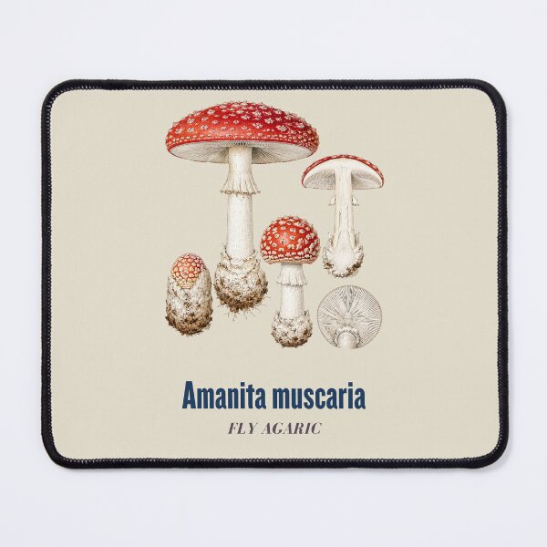 Item preview, Fly Agaric Botanical T-Shirt | Amanita Muscaria Scientific Illustration | Vintage Mushroom Nature Gift designed and sold by Panom Suavichien.